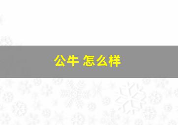 公牛 怎么样